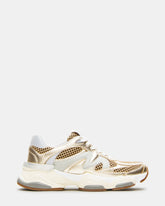SEBI Gold Multi Low-Top Lace-Up Women's Sneaker